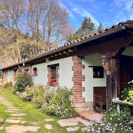 Los Acebos De Pena Cabarga, Cupula Experiencias Sobremazas Kültér fotó